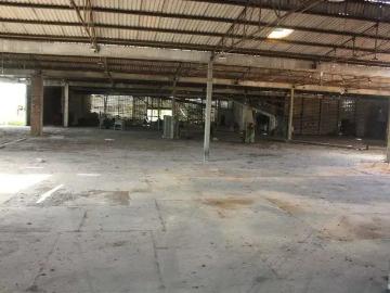 Terreno / Lote para Venda em Recife/PE Curado