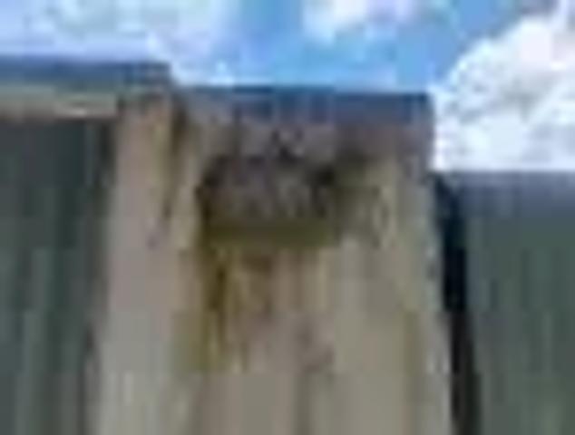 Terreno / Lote para Venda em Recife/PE Dois Irmãos