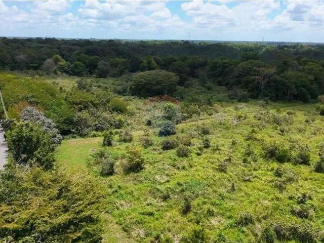 Terreno / Lote para Venda em Recife/PE Guabiraba