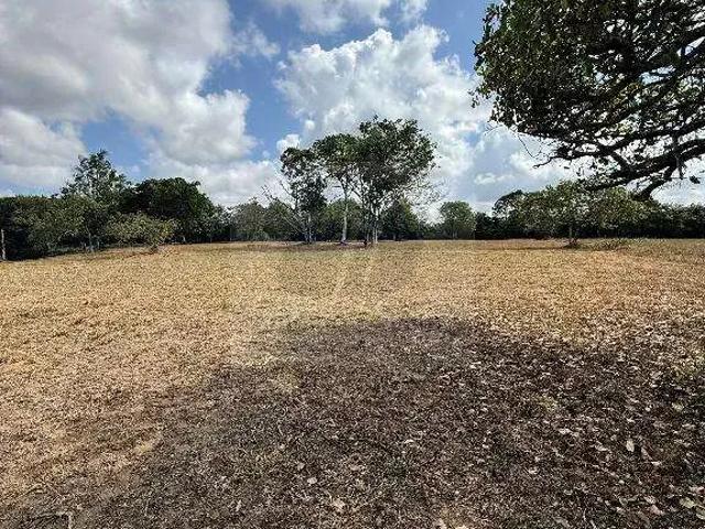 Terreno / Lote para Venda em Recife/PE Guabiraba