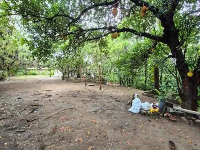 Terreno / Lote para Venda em Recife/PE Guabiraba