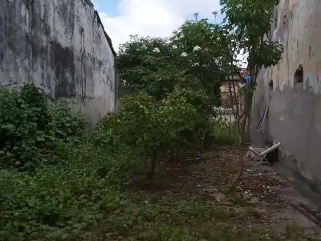 Terreno / Lote para Venda em Recife/PE Ilha do Leite