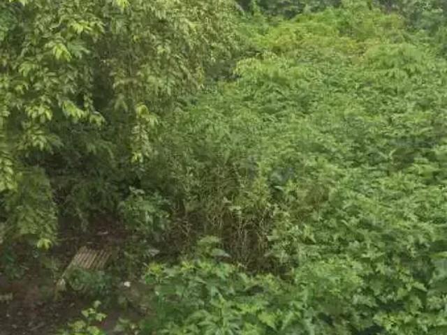 Terreno / Lote para Venda em Recife/PE Iputinga