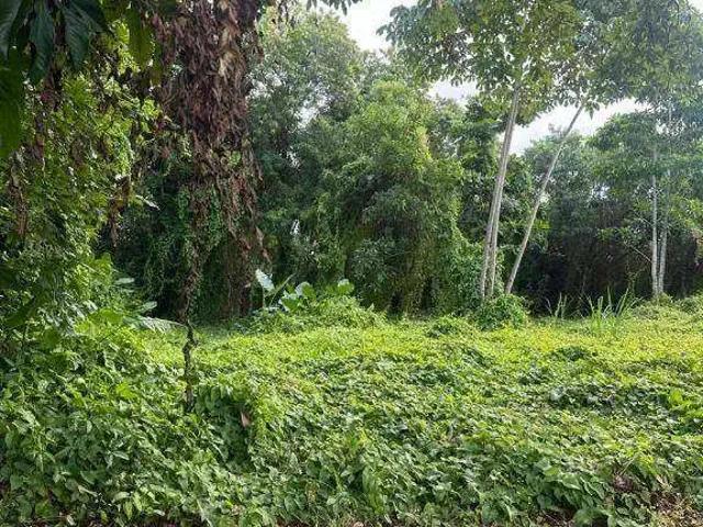 Terreno / Lote para Venda em Recife/PE Macaxeira