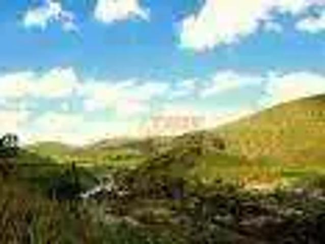 Terreno / Lote para Venda em Jaboatão dos Guararapes/PE Santo Aleixo