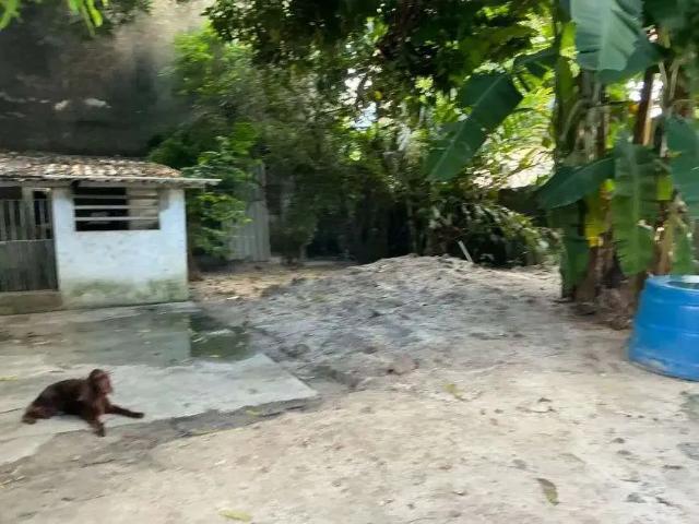 Terreno / Lote para Venda em Recife/PE Santana