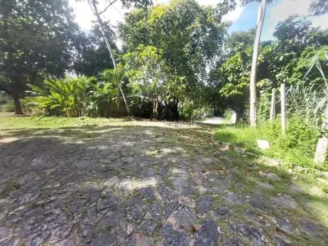 Terreno / Lote para Venda em Recife/PE Sítio dos Pintos