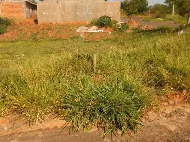 Terreno / Lote para Venda em Regente Feijó/SP Jardim Primavera