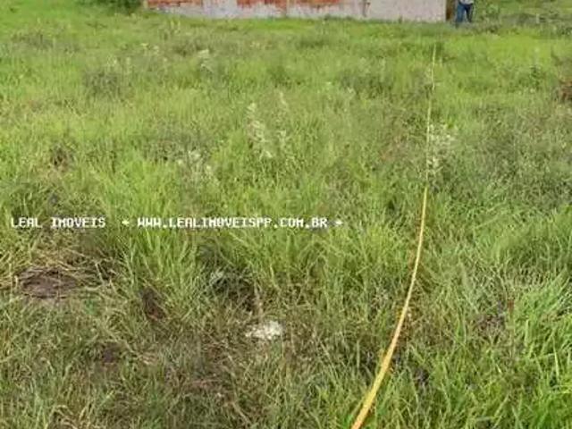 Terreno / Lote para Venda em Regente Feijó/SP Jardim Primavera