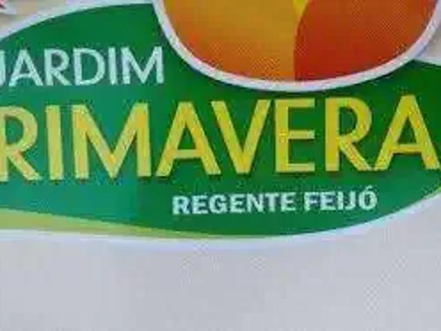 Terreno / Lote para Venda em Regente Feijó/SP Jardim Primavera