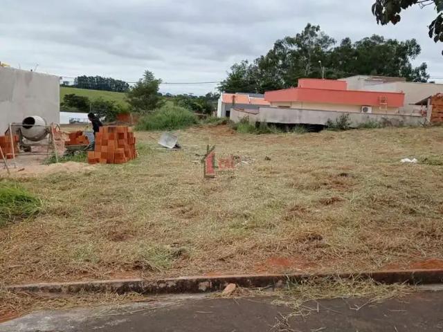 Terreno / Lote para Venda em Regente Feijó/SP Zona Rural