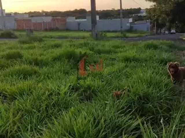 Terreno / Lote para Venda em Regente Feijó/SP Zona Rural