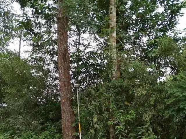 Terreno / Lote para Venda em Registro/SP Centro
