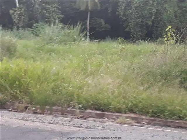 Terreno / Lote para Venda em Registro/SP Centro