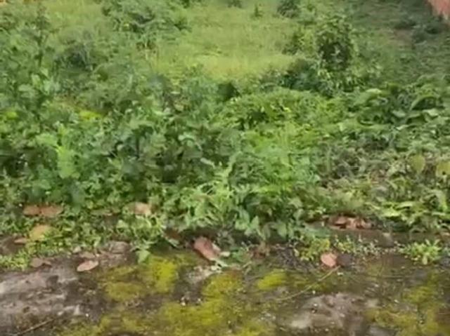 Terreno / Lote para Venda em Registro/SP Vila Tupy