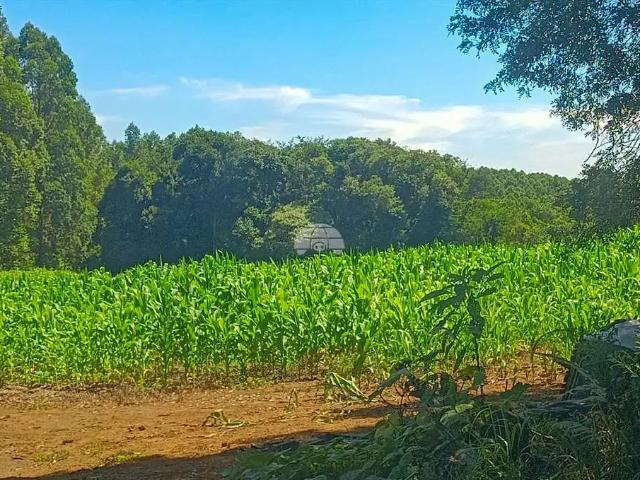 Terreno / Lote para Venda em Reserva/PR Campinas Belas