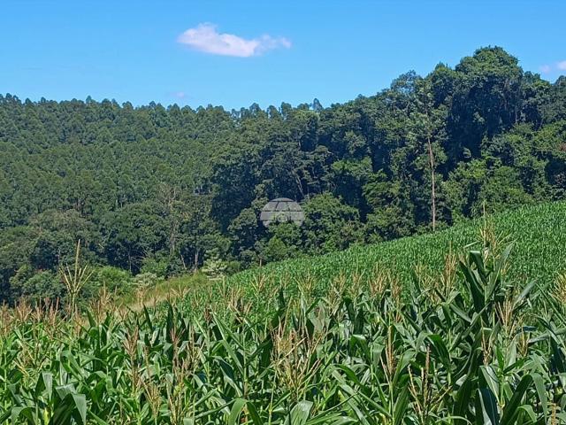 Terreno / Lote para Venda em Reserva/PR Centro