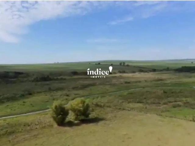 Terreno / Lote para Venda em Rincão/SP Área Rural de Rincão