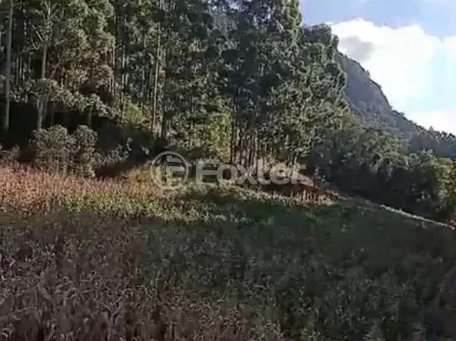 Terreno / Lote para Venda em Riozinho/RS Zona Rural