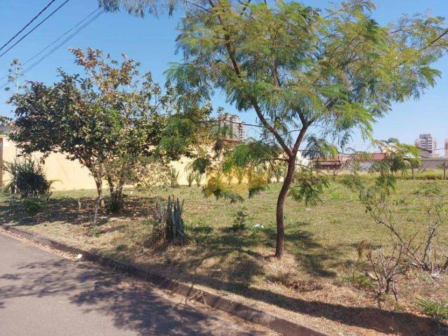 Terreno / Lote para Venda em Rio Claro/SP Jardim São Paulo