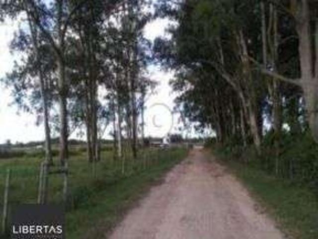 Terreno / Lote para Venda em Rio Grande/RS Vila Santa Rosa