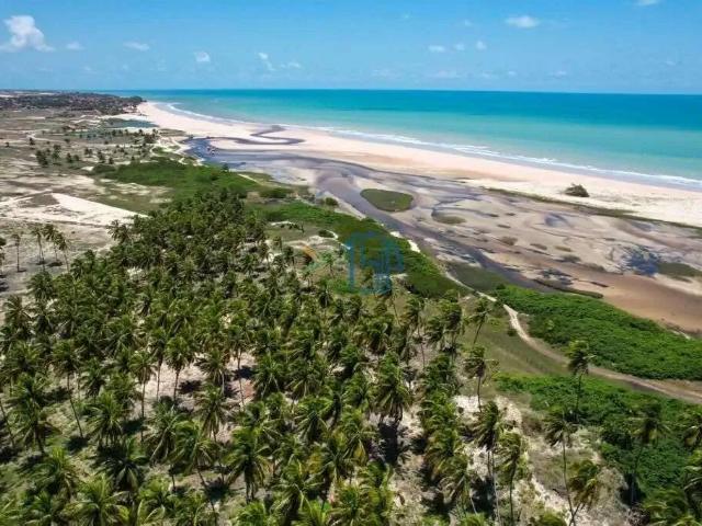 Terreno / Lote para Venda em Rio do Fogo/RN Centro