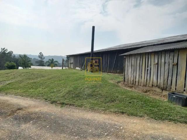 Terreno / Lote para Venda em Rio dos Cedros/SC Alto Cedros