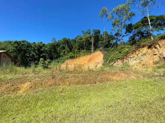 Terreno / Lote para Venda em Rio dos Cedros/SC Centro