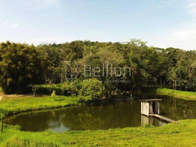 Terreno / Lote para Venda em Rio dos Cedros/SC Centro