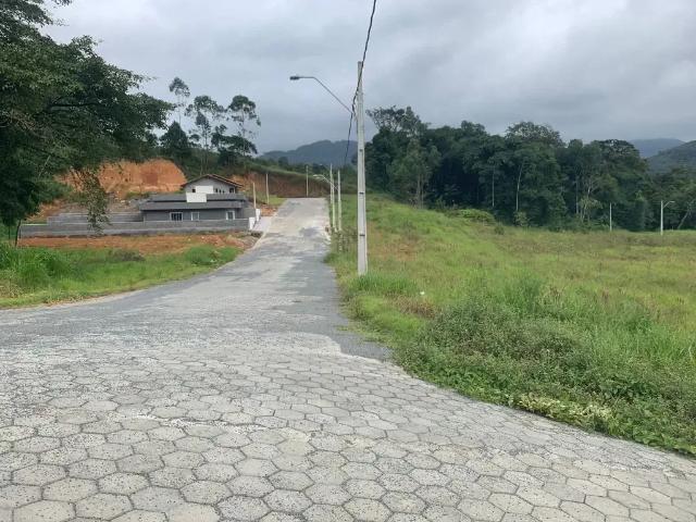 Terreno / Lote para Venda em Rio dos Cedros/SC Centro