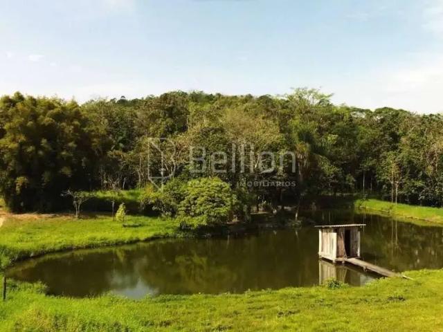 Terreno / Lote para Venda em Rio dos Cedros/SC Centro