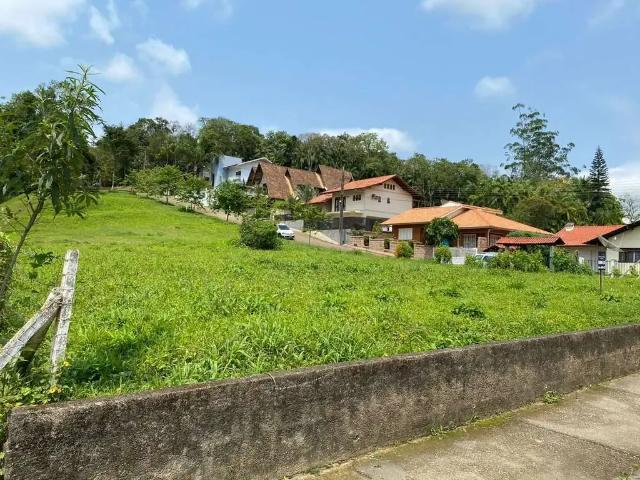 Terreno / Lote para Venda em Rio dos Cedros/SC Divinéia