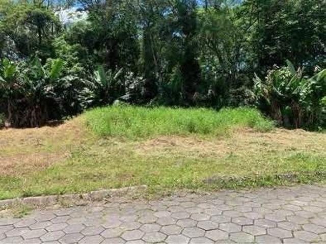 Terreno / Lote para Venda em Rio dos Cedros/SC Dolorata