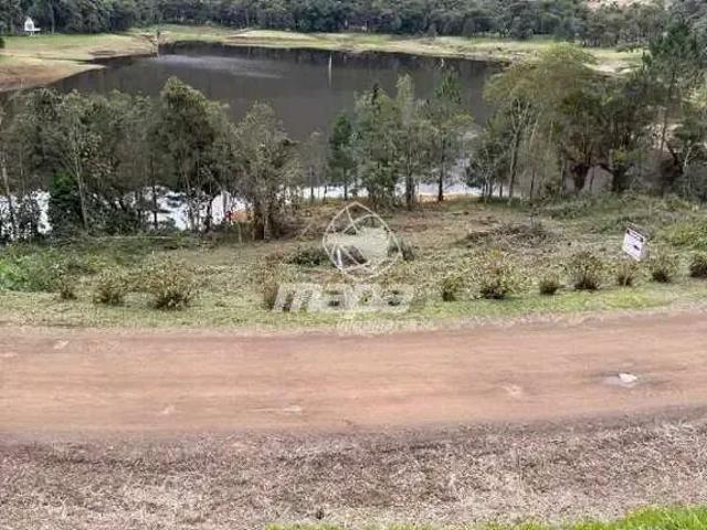 Terreno / Lote para Venda em Rio dos Cedros/SC Zona Rural