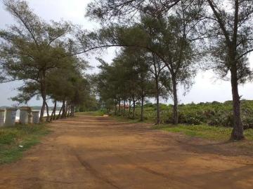 Terreno / Lote para Venda em Rio das Ostras/RJ Balneário das Garças