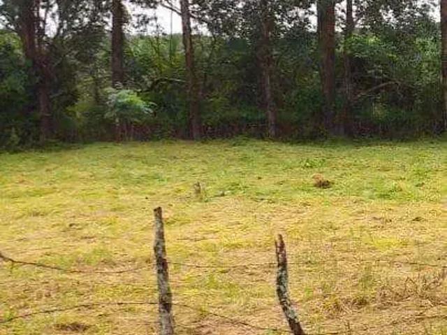 Terreno / Lote para Venda em Rio das Ostras/RJ Balneário das Garças