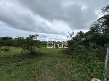 Terreno / Lote para Venda em Rio das Ostras/RJ Fazenda Palmeiras
