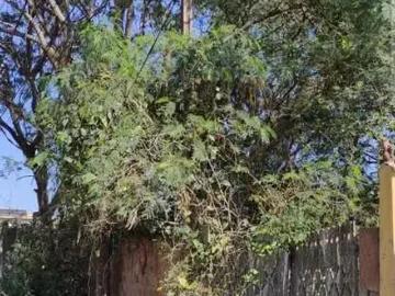 Terreno / Lote para Venda em Rio das Ostras/RJ Loteamento Extensão do Serramar