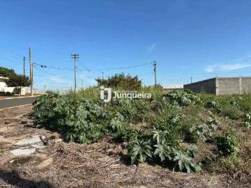 Terreno / Lote para Venda em Rio das Pedras/SP Santa Maria