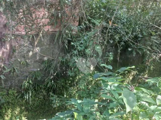 Terreno / Lote para Venda em Rio de Janeiro/RJ Alto da Boa Vista