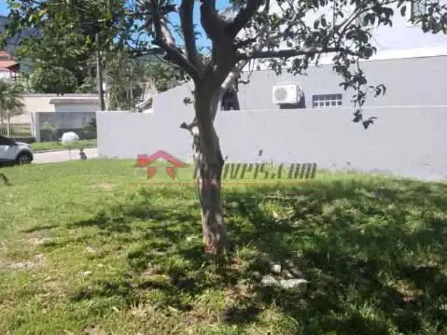 Terreno / Lote para Venda em Rio de Janeiro/RJ Anil