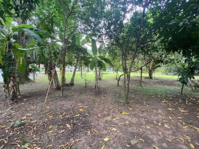 Terreno / Lote para Venda em Rio de Janeiro/RJ Anil