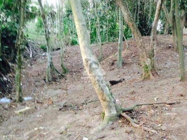 Terreno / Lote para Venda em Rio de Janeiro/RJ Botafogo