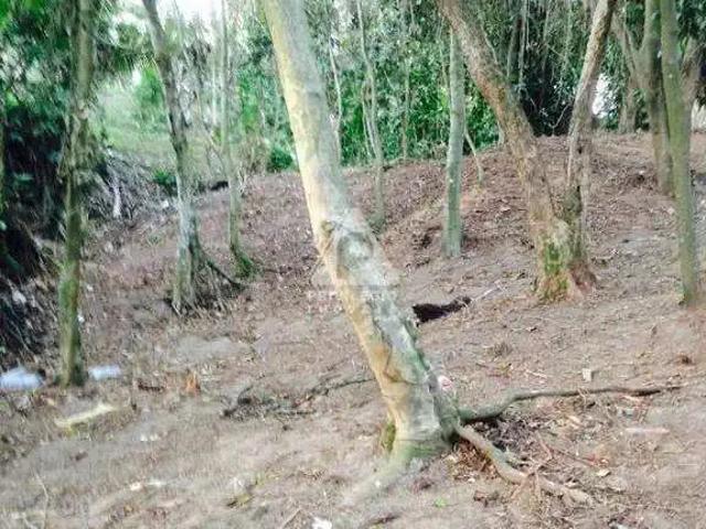 Terreno / Lote para Venda em Rio de Janeiro/RJ Botafogo