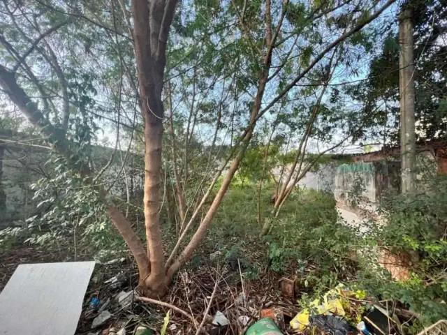 Terreno / Lote para Venda em Rio de Janeiro/RJ Curicica