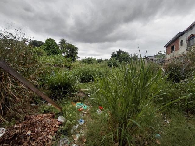 Terreno / Lote para Venda em Rio de Janeiro/RJ Campo Grande