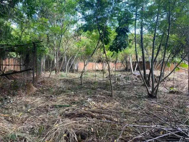 Terreno / Lote para Venda em Rio de Janeiro/RJ Campo Grande