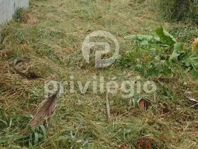 Terreno / Lote para Venda em Rio de Janeiro/RJ Campo Grande