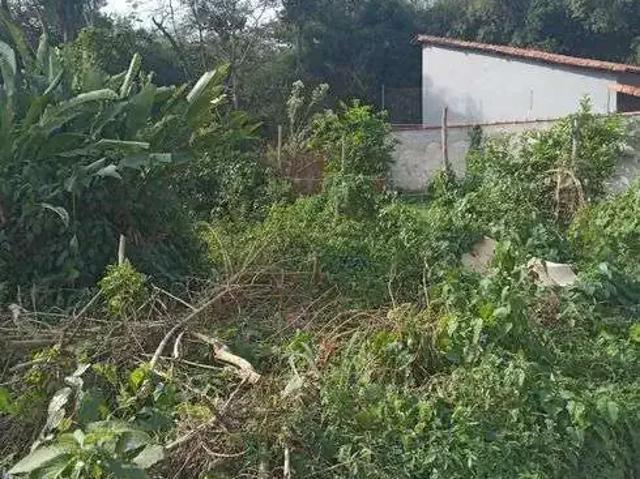 Terreno / Lote para Venda em Rio de Janeiro/RJ Campo Grande