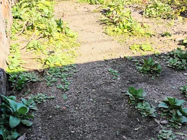 Terreno / Lote para Venda em Rio de Janeiro/RJ Campo Grande